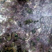 A Landsat 7 satellite image of west London. The prominent green space in the middle is Hyde Park, with Green Park and St. James's Park to its right